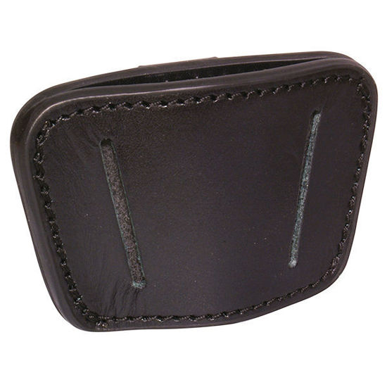 Picture of holster large