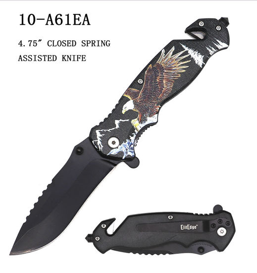 Picture of A61EA