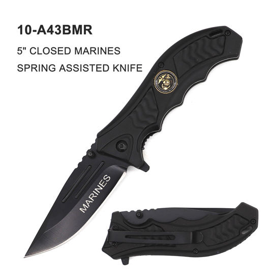 Picture of A43BMR