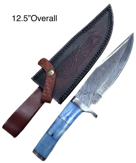 Picture of DM-OR-341