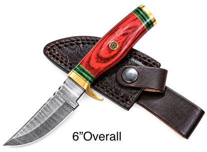 Picture of DM-S02