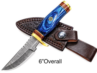 Picture of DM-S04